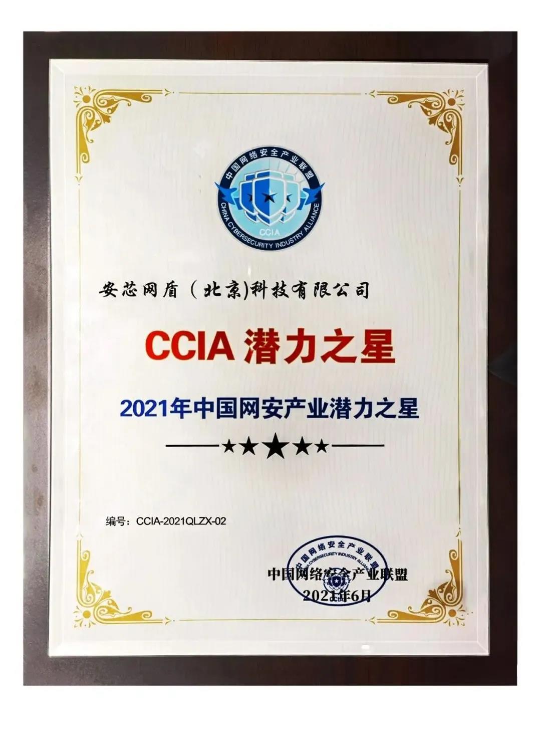 CCIA潜力之星奖