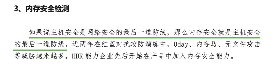 内存安全检测
